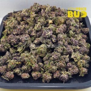 Buy Black Cherry Punch (AAAA) – Popcorn Nugs online Canada