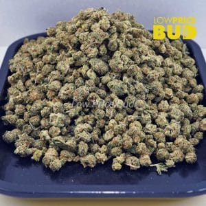 Buy Strawberry Cough (AAAA) – Popcorn Nugs online Canada