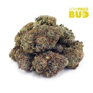 Green Goblin (AAAA) Buy Green Goblin (AAAA) online Canada