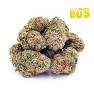 GMO Kush (AA) Buy GMO Kush (AA) online Canada