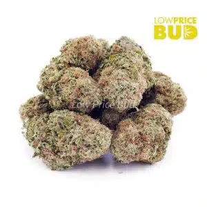 Buy GMO Kush (AA) online Canada