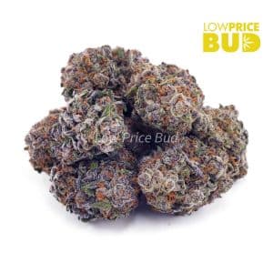 Buy Blue Nerdz (AAAA) online Canada