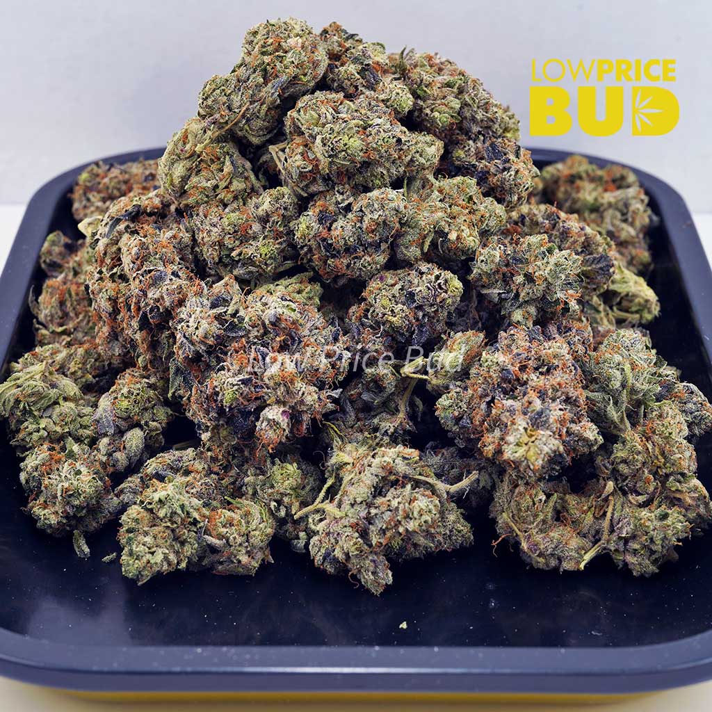Pink Kush (AAAA) Buy Pink Kush (AAAA) online Canada