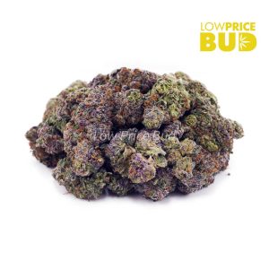 Purple Haze (AAA) Buy Purple Haze (AAA) online Canada