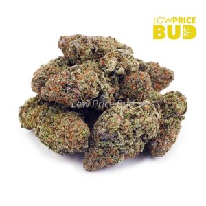 Birthday Cake Kush (AAAA) Buy Birthday Cake Kush (AAAA) online Canada