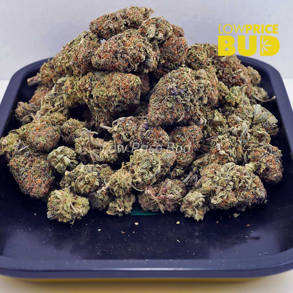 Birthday Cake Kush (AAAA) Buy Birthday Cake Kush (AAAA) online Canada