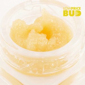 Live Resin – Greasy Pink Buy Live Resin – Greasy Pink online Canada