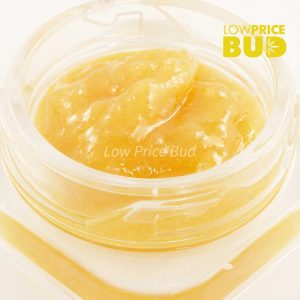Live Resin – OG Skunk Buy Live Resin – OG Skunk online Canada