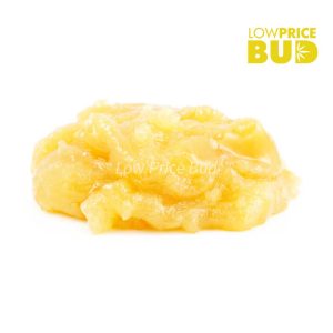 Caviar – Chemdawg Buy Caviar – Chemdawg online Canada