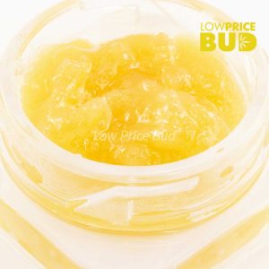 Caviar – Chemdawg Buy Caviar – Chemdawg online Canada