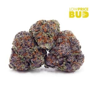 Buy Build Your Own Half Oz online Canada