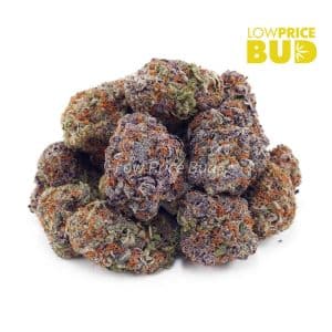 Bio Diesel (AAAA) Buy Bio Diesel (AAAA) online Canada