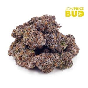 Gorilla Mintz (AAAA) Buy Gorilla Mintz (AAAA) online Canada
