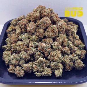 Buy King Louie XIII (AA) online Canada