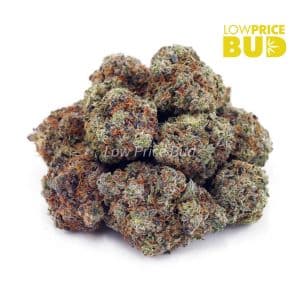 Lemon Skunk (AAAA) Buy Lemon Skunk (AAAA) online Canada