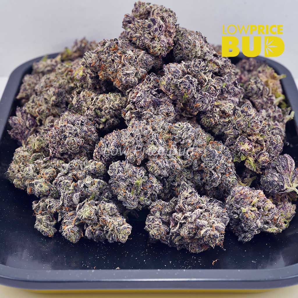 Triangle Kush (AAAA) Buy Triangle Kush (AAAA) online Canada