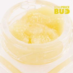 Caviar – High Octane Buy Caviar – High Octane online Canada