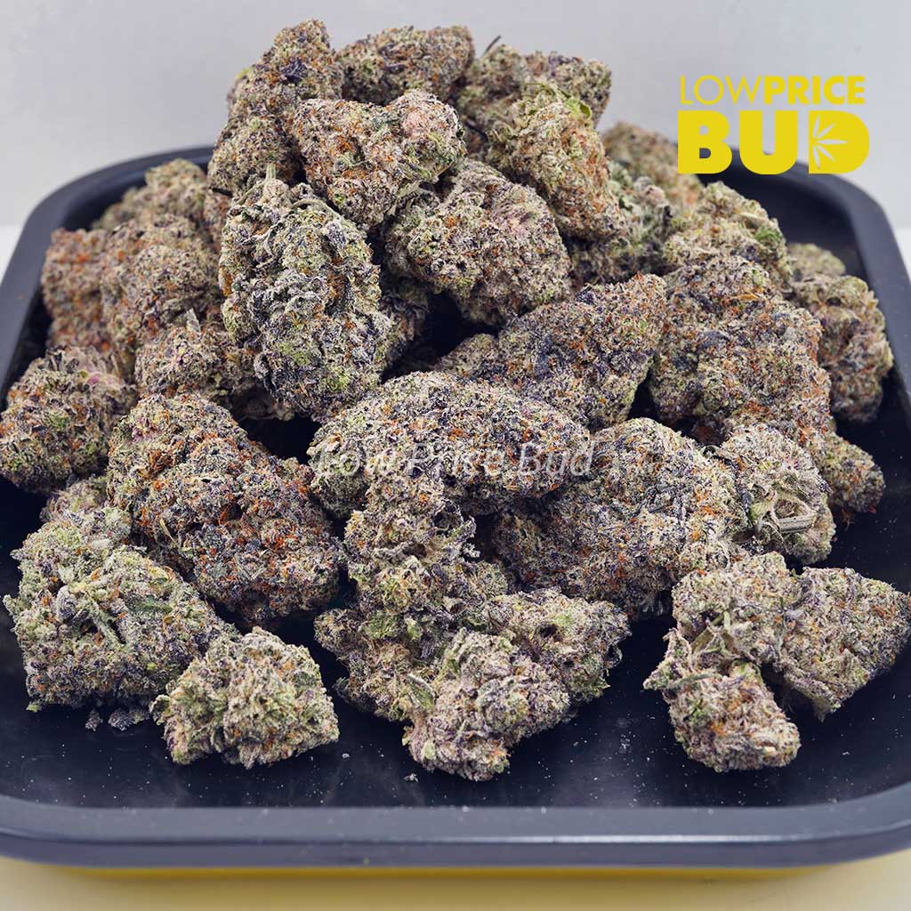 Supreme Pineapple Cake (Craft Cannabis) Buy Supreme Pineapple Cake (Craft Cannabis) online Canada