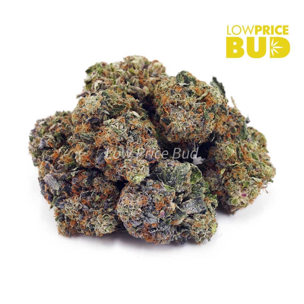 OG Kush (AAA) Buy OG Kush (AAA) online Canada