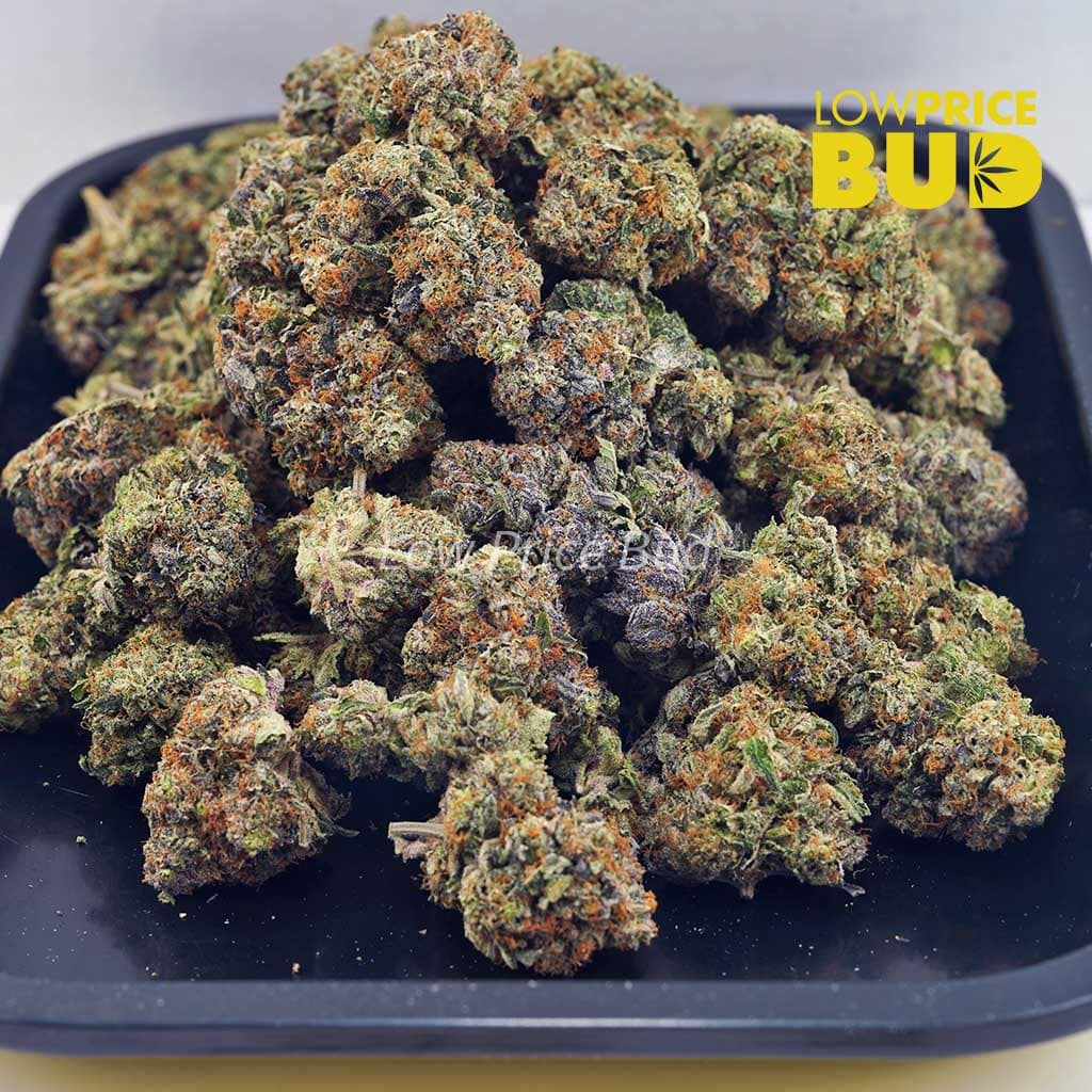 OG Kush (AAA) Buy OG Kush (AAA) online Canada