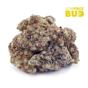 Buy Georgia Pie (AA) online Canada