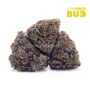 Couch Lock (Craft Cannabis) Buy Couch Lock (Craft Cannabis) online Canada