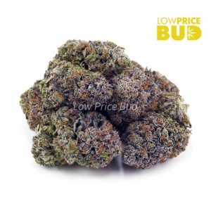 Couch Lock (Craft Cannabis) Buy Couch Lock (Craft Cannabis) online Canada