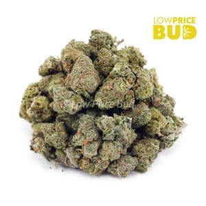 Buy Hawaiian Maui Haze (AAAA) – Popcorn Nugs online Canada