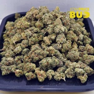 Hawaiian Maui Haze (AAAA) – Popcorn Nugs Buy Hawaiian Maui Haze (AAAA) – Popcorn Nugs online Canada