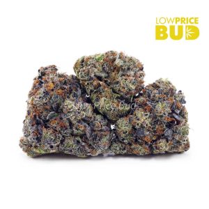Mike Tyson (Craft Cannabis) Buy Mike Tyson (Craft Cannabis) online Canada