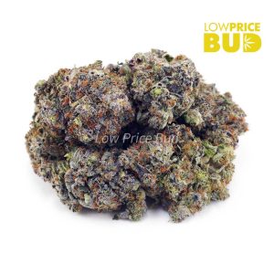 Mike Tyson (Craft Cannabis) Buy Mike Tyson (Craft Cannabis) online Canada