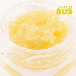 Buy Live Resin – Acapulco Gold online Canada