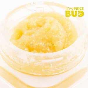 Buy Live Resin – Tom Ford Pink Kush online Canada