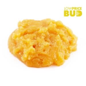 Buy Caviar – Super Pink online Canada