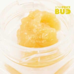 Caviar – Astro Bubba Buy Caviar – Astro Bubba online Canada