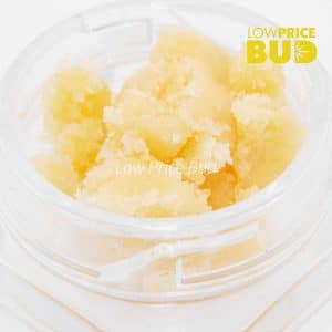 Buy Caviar – Bubba Fett online Canada