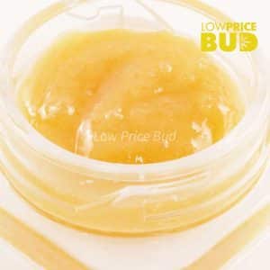 Buy Caviar – Pink Anxiety online Canada