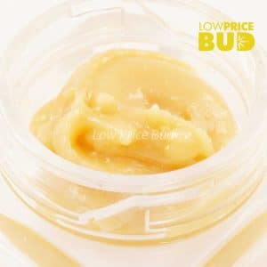 Buy Caviar – Pink Picasso online Canada