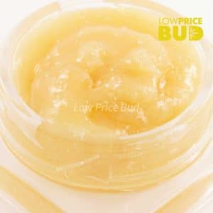 Buy Caviar – Pink Rozay online Canada
