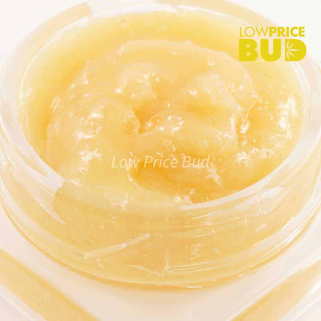 Caviar – Pink Rozay Buy Caviar – Pink Rozay online Canada
