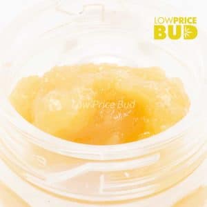 Caviar – Platinum Champagne Buy Caviar – Platinum Champagne online Canada