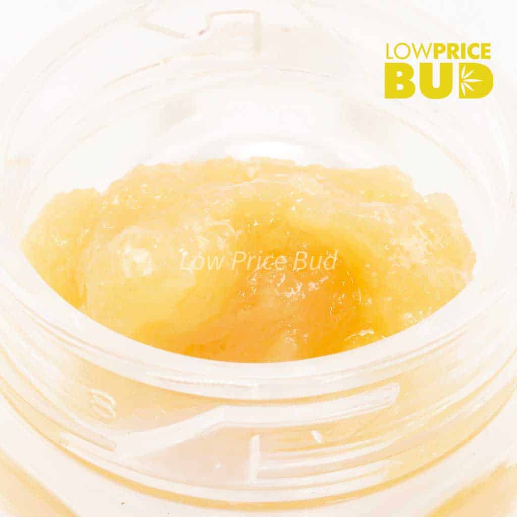 Caviar – Platinum Champagne Buy Caviar – Platinum Champagne online Canada