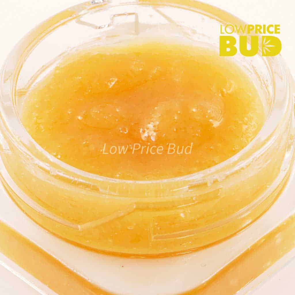 Caviar – Super Pink Buy Caviar – Super Pink online Canada