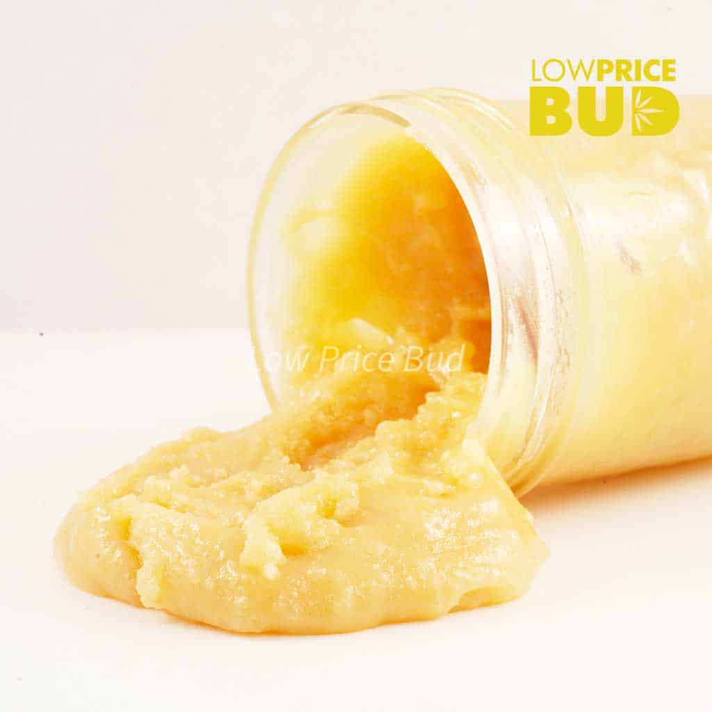 Caviar – Pink Rozay Buy Caviar – Pink Rozay online Canada