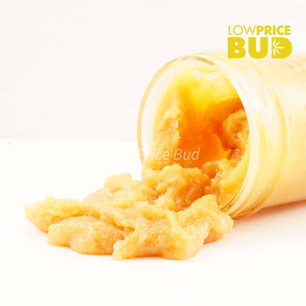 Caviar – Platinum Champagne Buy Caviar – Platinum Champagne online Canada