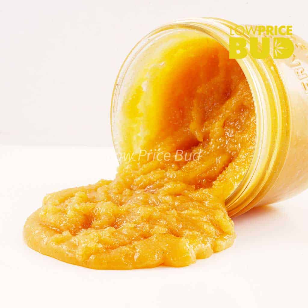 Caviar – Super Pink Buy Caviar – Super Pink online Canada