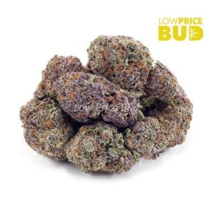 Pineapple & Cream (AAAA) Buy Pineapple & Cream (AAAA) online Canada