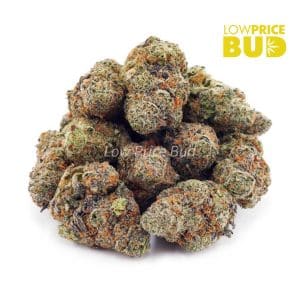 Buy Mango OG (AAAA) online Canada