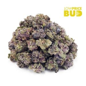 White Cherry Truffle (AAAA) – Popcorn Nugs Buy White Cherry Truffle (AAAA) – Popcorn Nugs online Canada