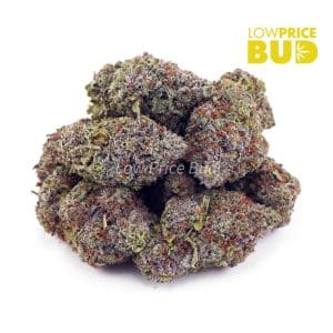 Buy Afghan Haze (AAAA) online Canada